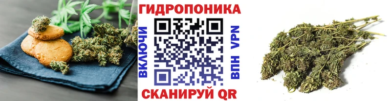 Купить Черноголовка Еда ТГК марихуана