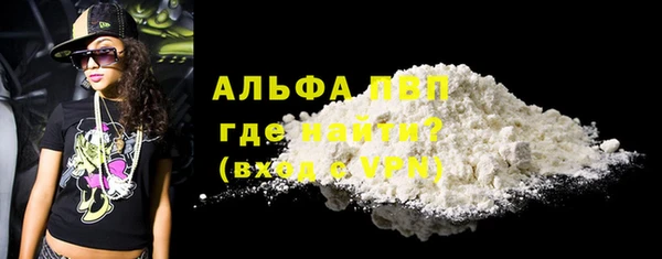 крисы Алзамай