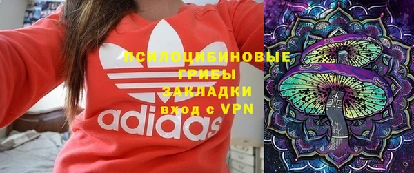 винт Алексин
