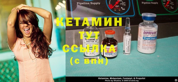 крисы Алзамай