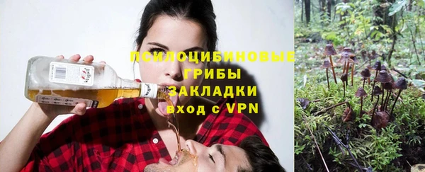 винт Алексин