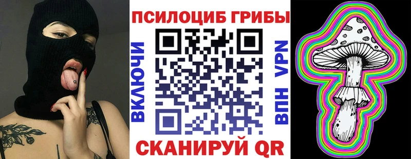Купить где  Черноголовка  Галлюциногенные грибы Cubensis 